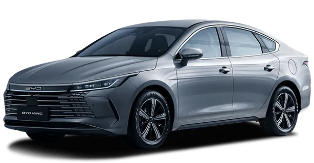 BYD KING, página brasileira atual